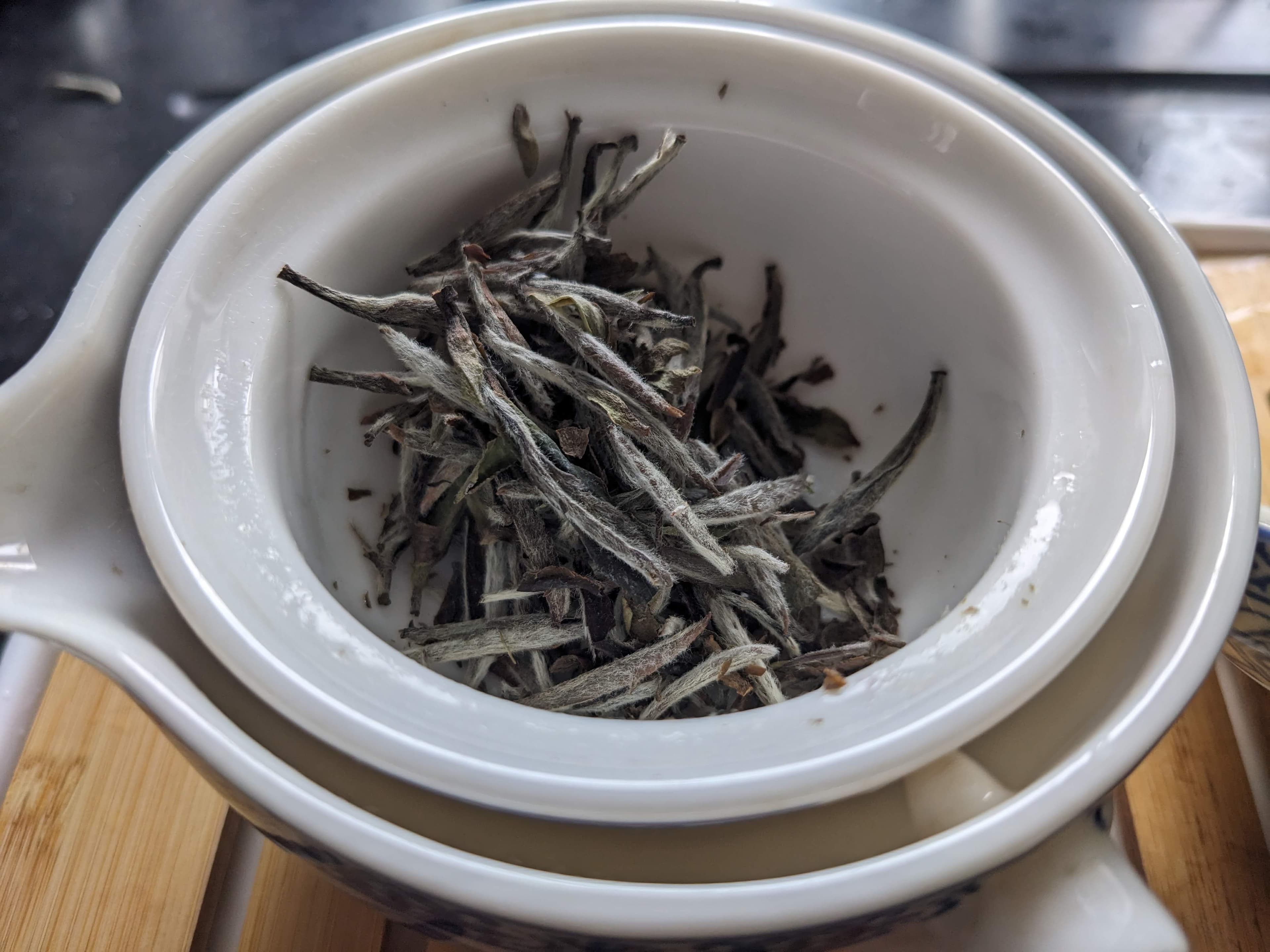 Silver needle white tea leaves in teapot