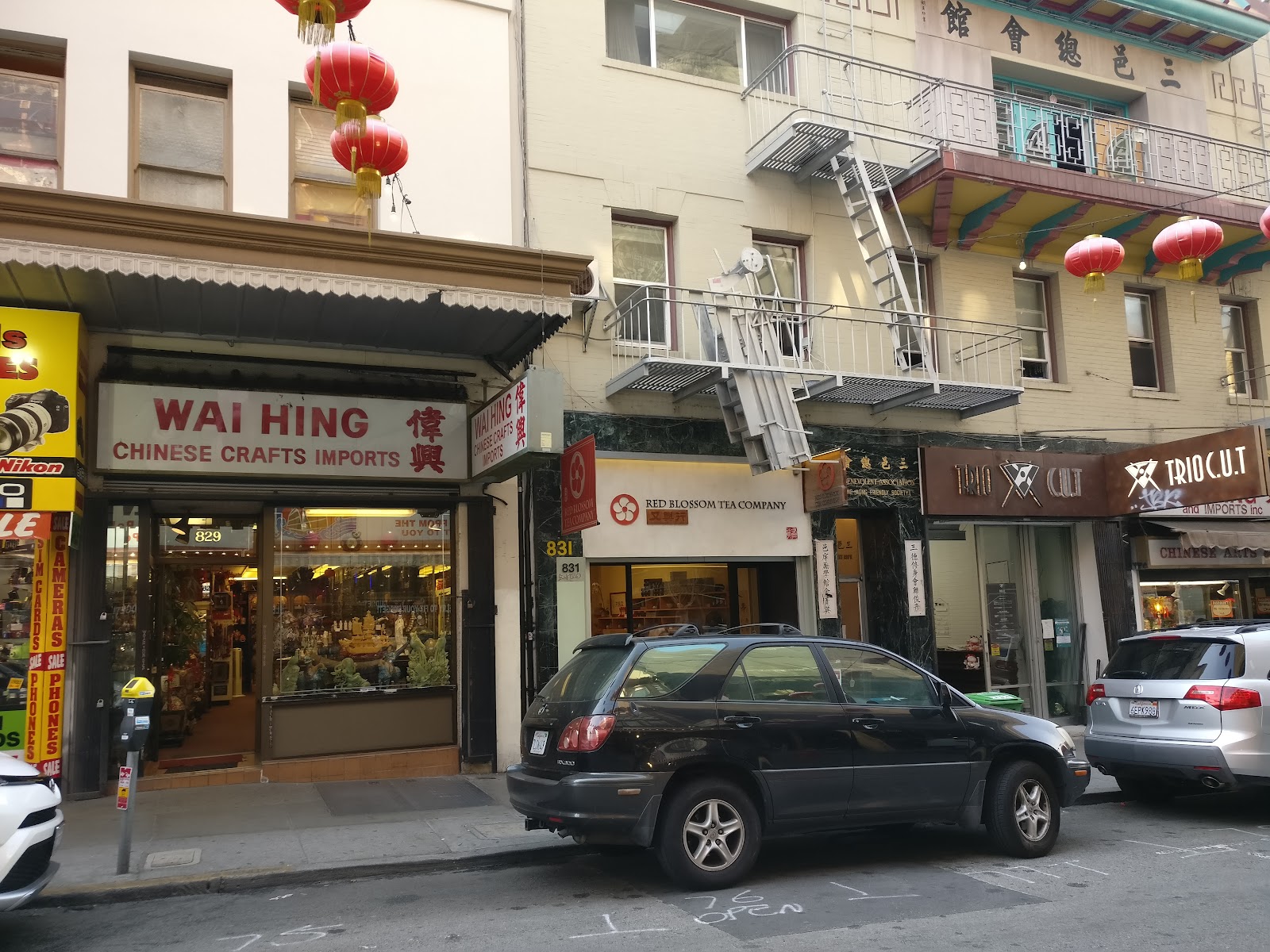 Red Blossom Tea Company 紅花茶莊, San Francisco