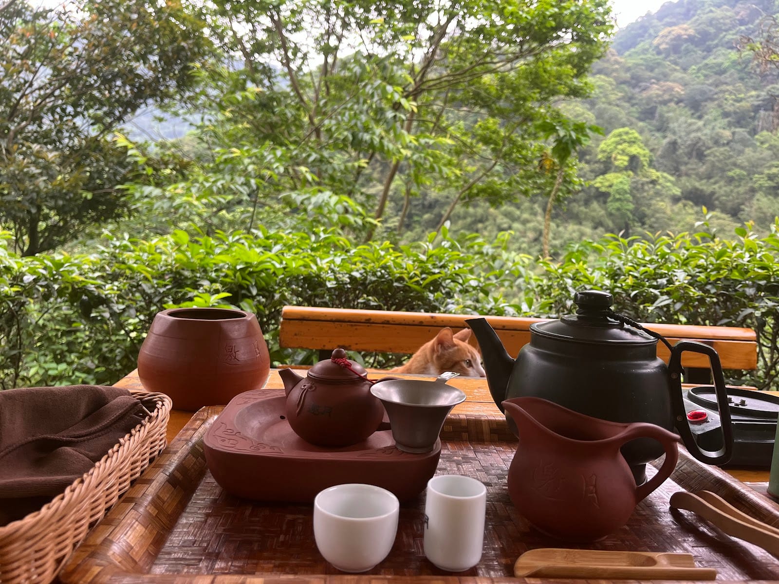 Yaoyue Teahouse 邀月茶坊, photo 2