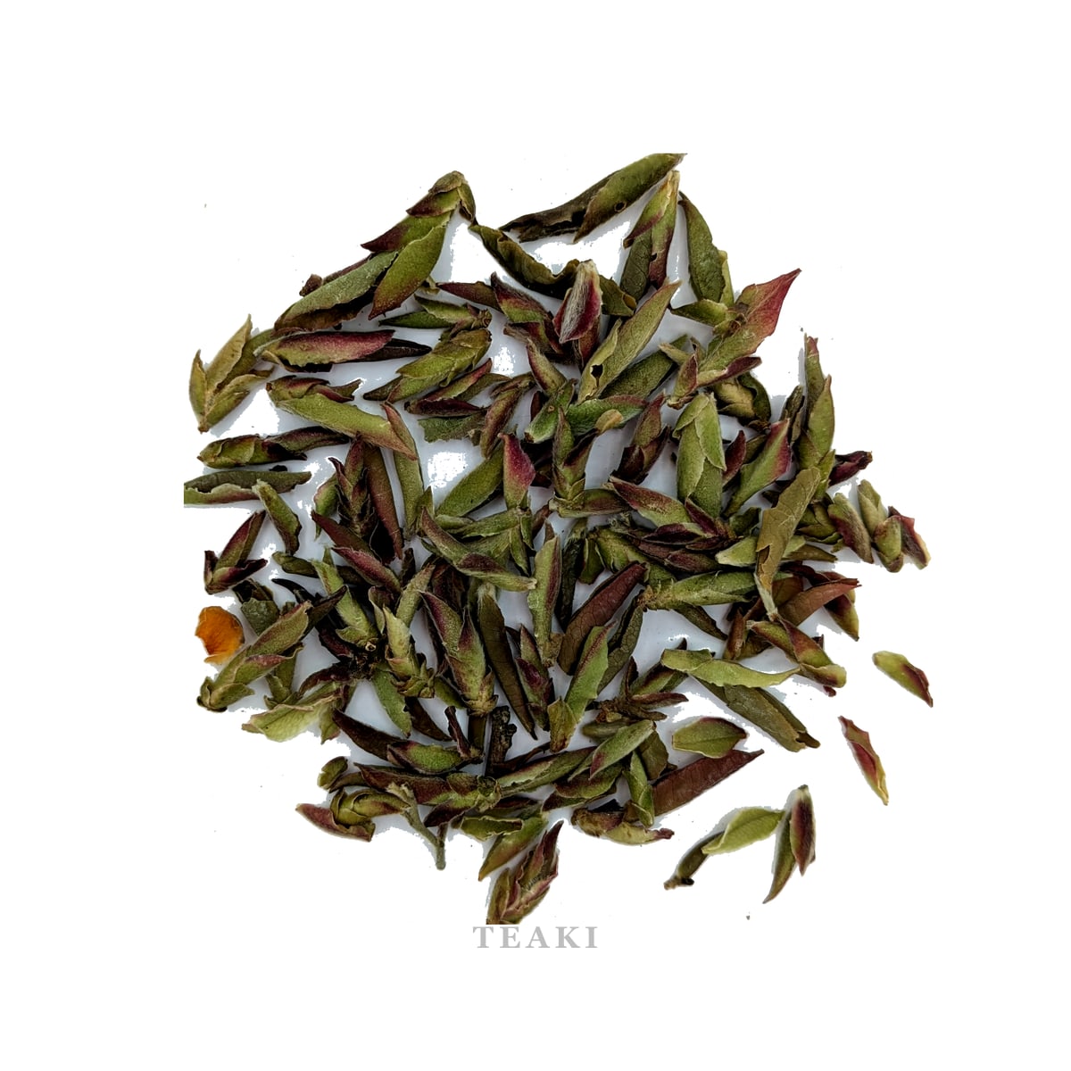 Ye Sheng Zi Ya Bai (Wild Purple Bud White)